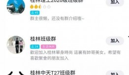 娱乐圈爆料群qq号多少,QQ号背后的秘密与风云